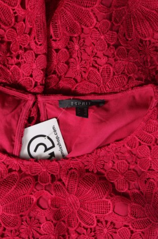 Kleid Esprit, Größe M, Farbe Rot, Preis € 33,40