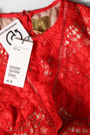 Kleid H&M, Größe M, Farbe Rot, Preis 47,57 €