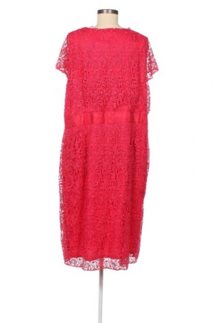 Kleid Joe Browns, Größe XXL, Farbe Rosa, Preis 43,14 €