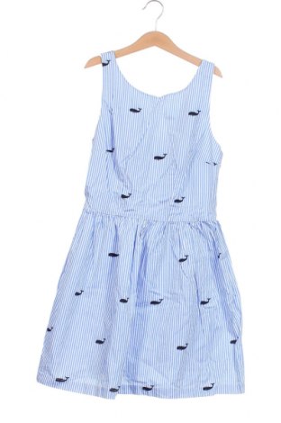 Kleid Sparrow, Größe M, Farbe Mehrfarbig, Preis € 14,84