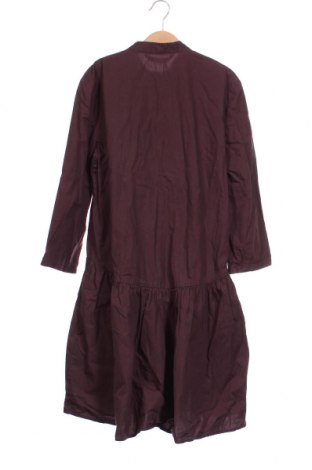 Φόρεμα Zara, Μέγεθος XS, Χρώμα Καφέ, Τιμή 6,49 €
