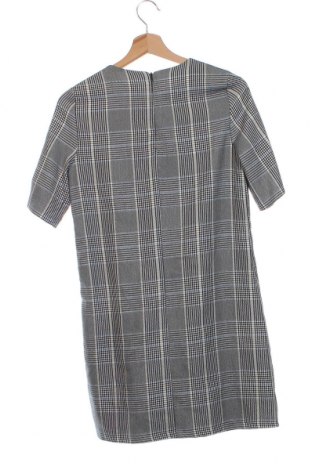 Kleid Zara Trafaluc, Größe XS, Farbe Mehrfarbig, Preis € 15,90