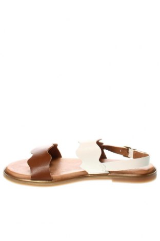 Sandalen, Größe 41, Farbe Mehrfarbig, Preis € 23,97