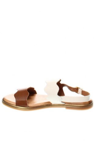 Sandále, Veľkosť 40, Farba Viacfarebná, Cena  21,57 €