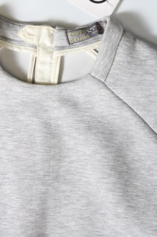 Tunika Zara, Größe S, Farbe Grau, Preis 10,46 €