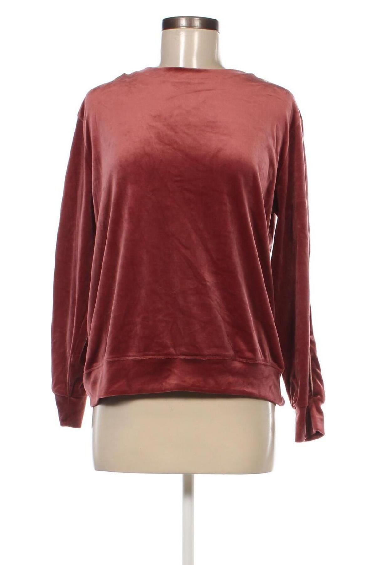 Γυναικεία μπλούζα Hunkemoller, Μέγεθος S, Χρώμα Ρόζ , Τιμή 4,21 €