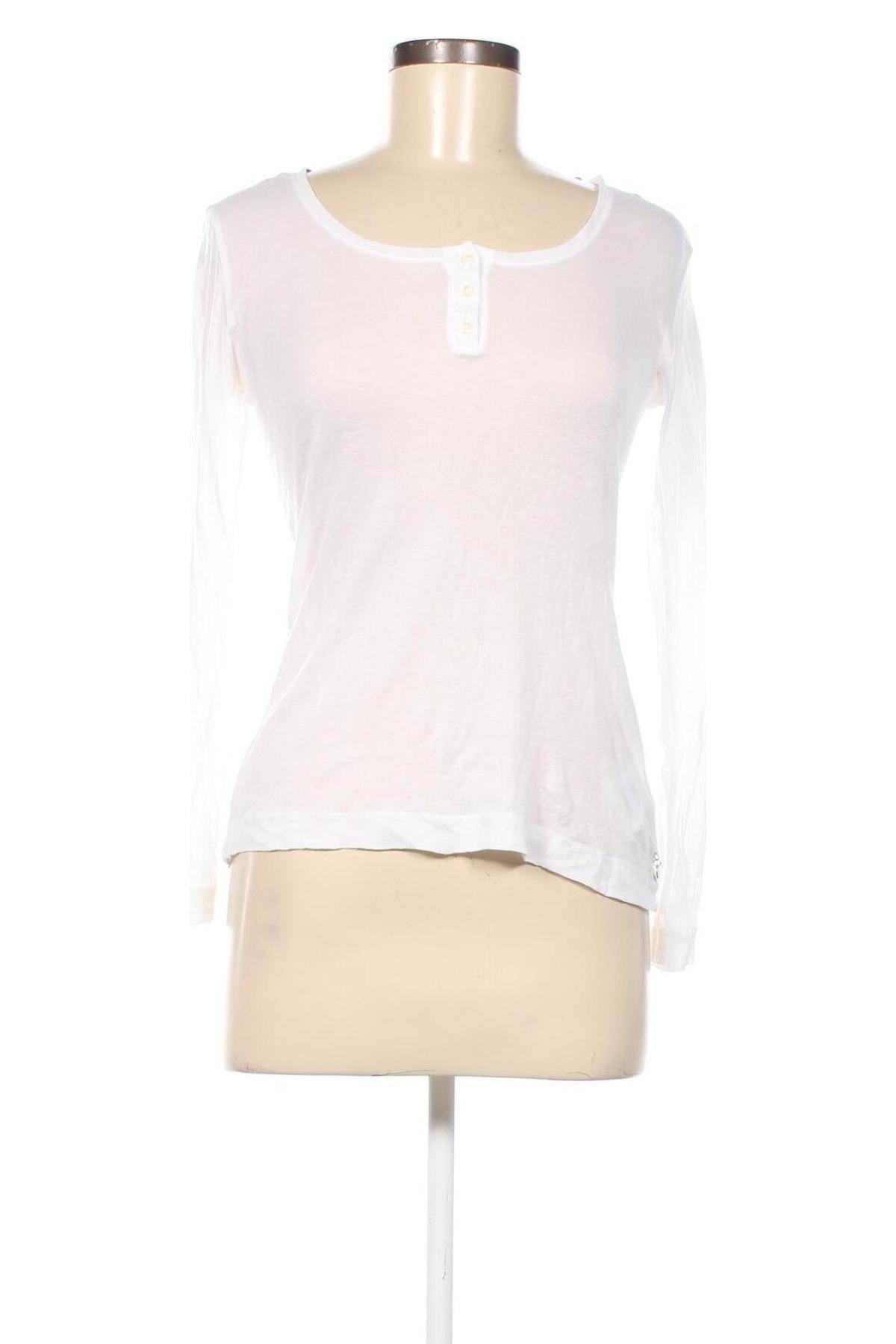 Damen Shirt Mexx, Größe S, Farbe Weiß, Preis € 23,66