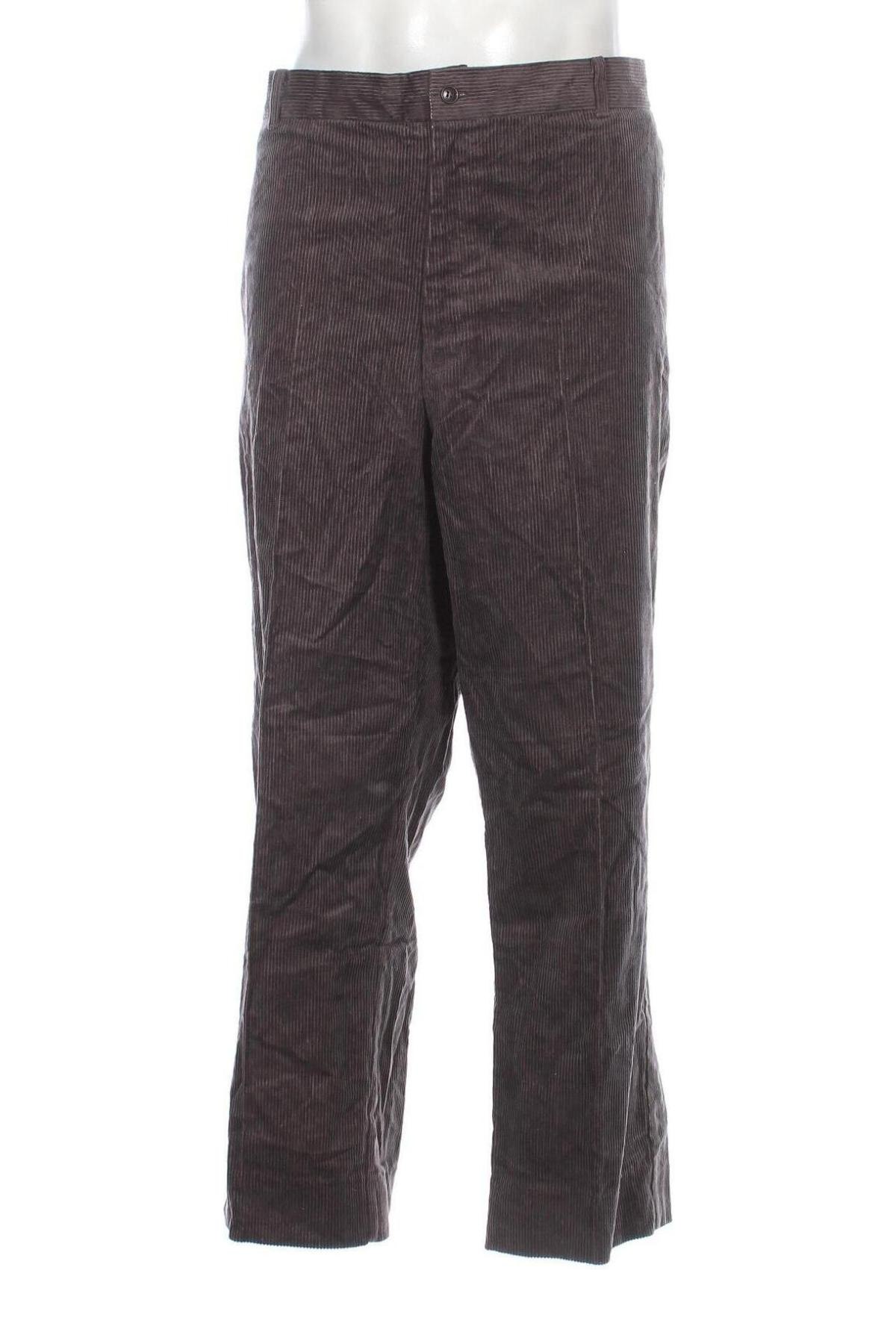 Herren Cordhose, Größe 3XL, Farbe Lila, Preis € 15,14