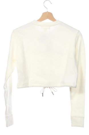Damen Shirt Aeropostale, Größe XS, Farbe Ecru, Preis 42,99 €
