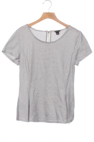 Damen Shirt Ann Taylor, Größe XS, Farbe Mehrfarbig, Preis 18,49 €