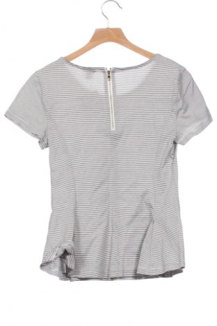 Damen Shirt Ann Taylor, Größe XS, Farbe Mehrfarbig, Preis 18,49 €