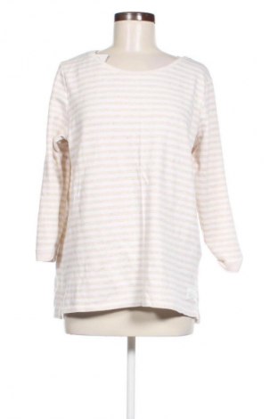 Damen Shirt Cecil, Größe XL, Farbe Mehrfarbig, Preis € 9,99