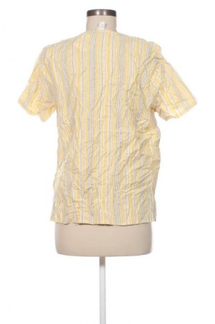 Damen Shirt Collection L, Größe L, Farbe Mehrfarbig, Preis 13,99 €