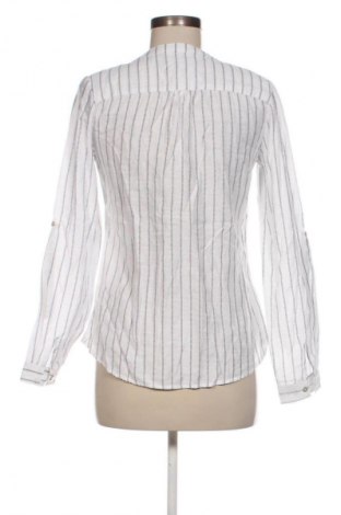 Damen Shirt Colosseum, Größe S, Farbe Mehrfarbig, Preis € 9,71