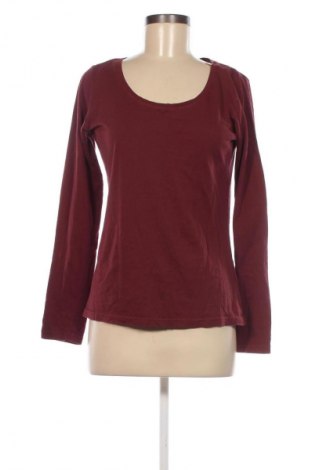 Damen Shirt Colours Of The World, Größe M, Farbe Rot, Preis € 9,71