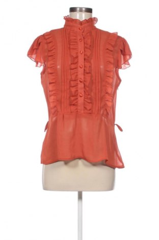 Damen Shirt Cotton Express, Größe L, Farbe Orange, Preis 10,00 €