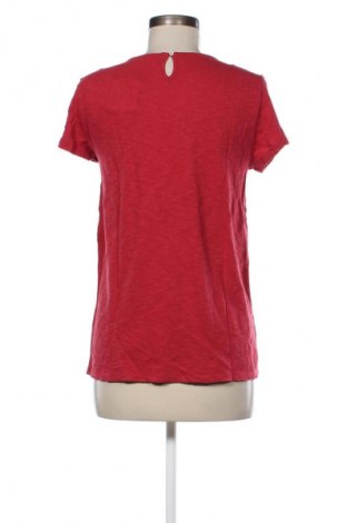 Damen Shirt Esprit, Größe S, Farbe Rot, Preis € 13,81