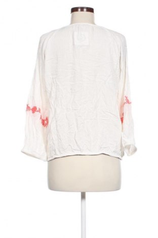 Dámska blúza Flash Woman, Veľkosť S, Farba Viacfarebná, Cena  4,95 €