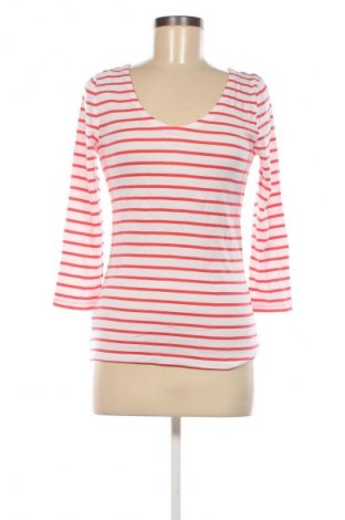 Damen Shirt Gap, Größe M, Farbe Mehrfarbig, Preis 13,99 €