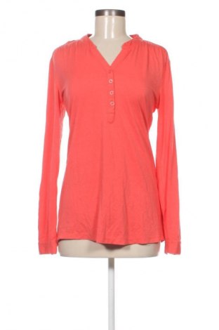 Damen Shirt Gina Benotti, Größe S, Farbe Rot, Preis 13,99 €