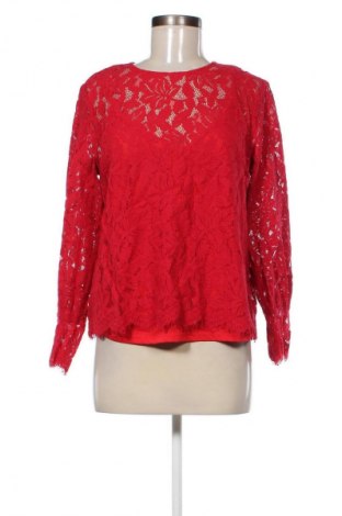 Damen Shirt H&M, Größe XL, Farbe Rot, Preis € 10,00