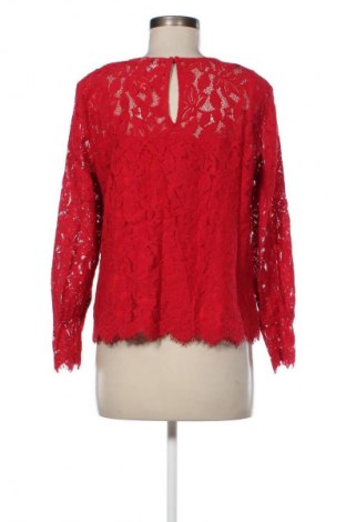 Damen Shirt H&M, Größe XL, Farbe Rot, Preis € 10,00