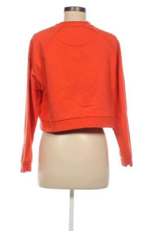 Damen Shirt Lyle & Scott, Größe M, Farbe Orange, Preis 17,39 €