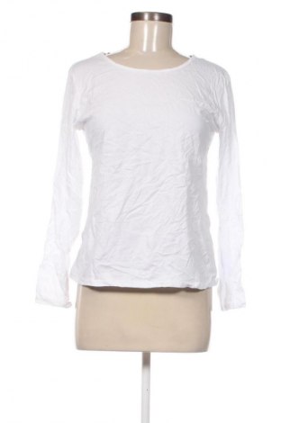 Damen Shirt NEW COLLECTION, Größe M, Farbe Weiß, Preis 23,99 €