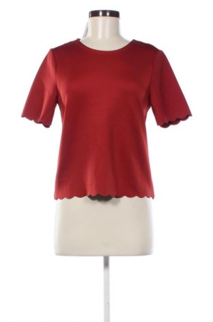 Damen Shirt New Look, Größe M, Farbe Braun, Preis 13,81 €