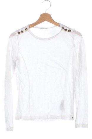 Damen Shirt Patrizia Pepe, Größe XS, Farbe Weiß, Preis 84,99 €