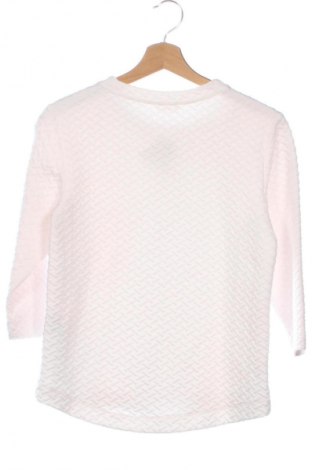 Damen Shirt S.Oliver, Größe XS, Farbe Rosa, Preis 17,44 €