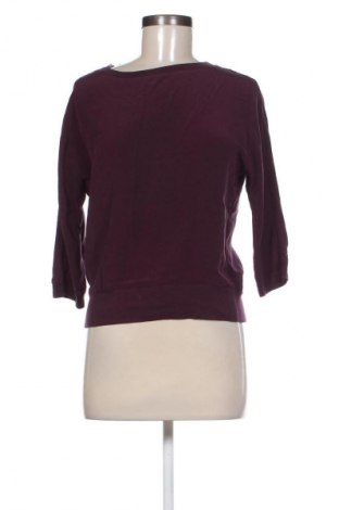 Damen Shirt Stefanel, Größe S, Farbe Lila, Preis 41,91 €
