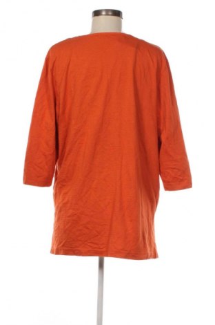 Damen Shirt Ulla Popken, Größe L, Farbe Mehrfarbig, Preis € 23,99