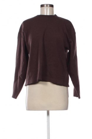 Damen Shirt Zara, Größe M, Farbe Braun, Preis 13,81 €