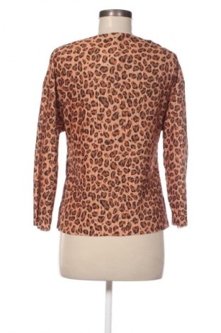 Damen Shirt Zara, Größe S, Farbe Mehrfarbig, Preis € 18,99