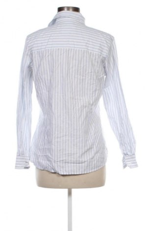 Damenbluse Basefield, Größe M, Farbe Mehrfarbig, Preis 21,05 €