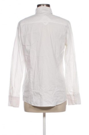 Damenbluse Bianca, Größe M, Farbe Weiß, Preis € 10,29