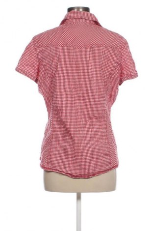 Damenbluse Cecil, Größe L, Farbe Mehrfarbig, Preis € 23,99