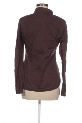 Damenbluse Esprit, Größe M, Farbe Braun, Preis 28,99 €