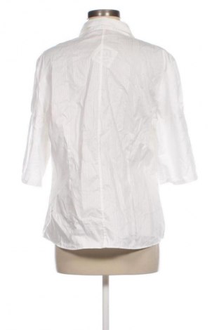 Damenbluse Eterna, Größe XL, Farbe Weiß, Preis 32,99 €