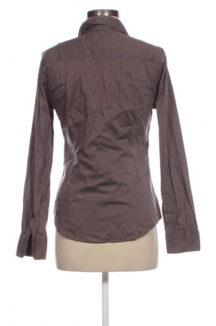 Damenbluse H&M, Größe M, Farbe Braun, Preis € 12,79
