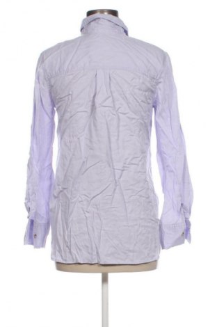 Damenbluse Hema, Größe S, Farbe Lila, Preis € 17,99