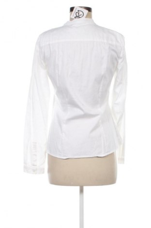 Damenbluse Mango, Größe M, Farbe Ecru, Preis 8,99 €