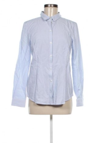Damenbluse Montego, Größe S, Farbe Mehrfarbig, Preis 15,99 €