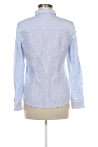 Damenbluse Montego, Größe S, Farbe Mehrfarbig, Preis 15,99 €