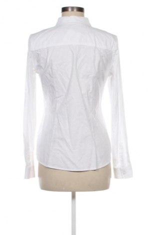Damenbluse Montego, Größe S, Farbe Weiß, Preis € 27,99