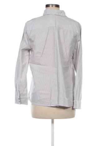 Damenbluse Outfit, Größe XL, Farbe Mehrfarbig, Preis 12,83 €