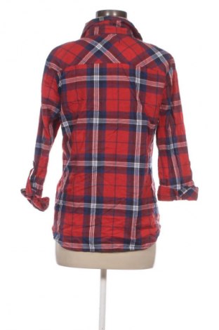 Damenbluse Primark, Größe L, Farbe Mehrfarbig, Preis 17,99 €