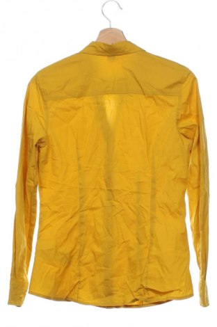 Damenbluse S.Oliver, Größe XS, Farbe Orange, Preis 13,99 €