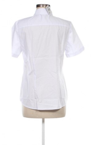 Damenbluse Unbranded, Größe M, Farbe Weiß, Preis € 12,94